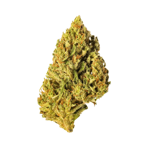 Amnesia Haze - Greenhouse