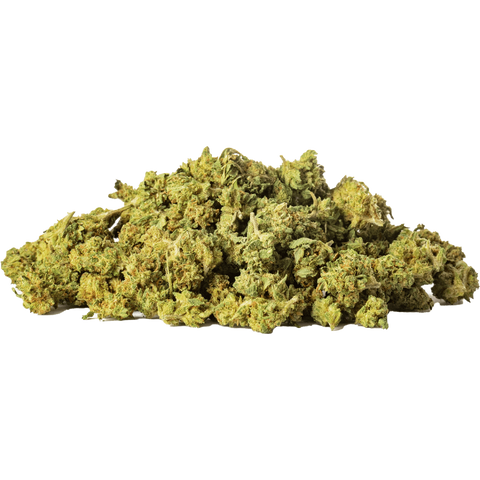 Arancia Tonic - Outdoor