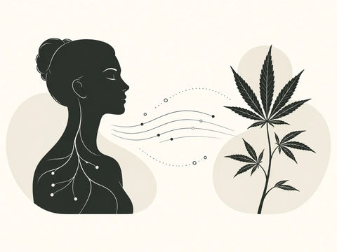 Illustrazione di una figura umana e una pianta di canapa che dialogano, simbolo del sistema endocannabinoide