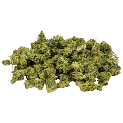 Amnesia Haze - Greenhouse
