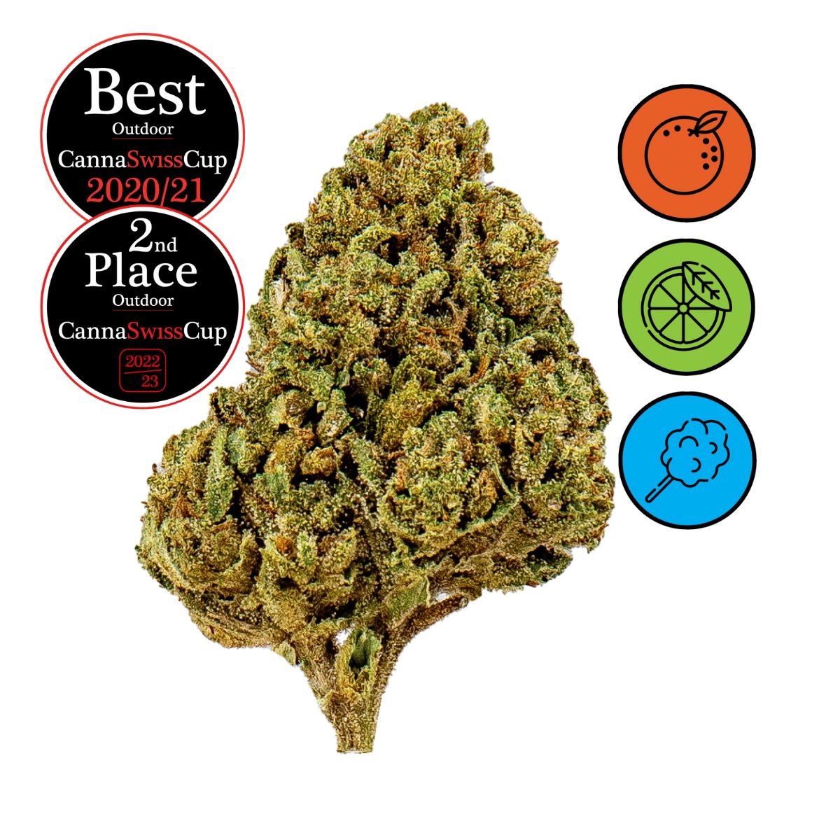 Arancia Tonic - Outdoor