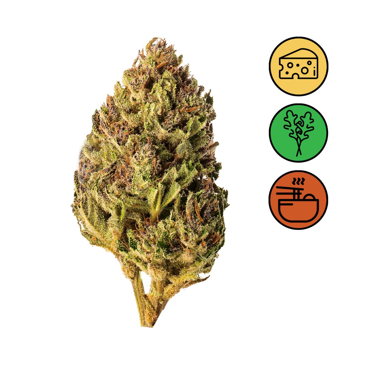 Blue Cheese - Outdoor