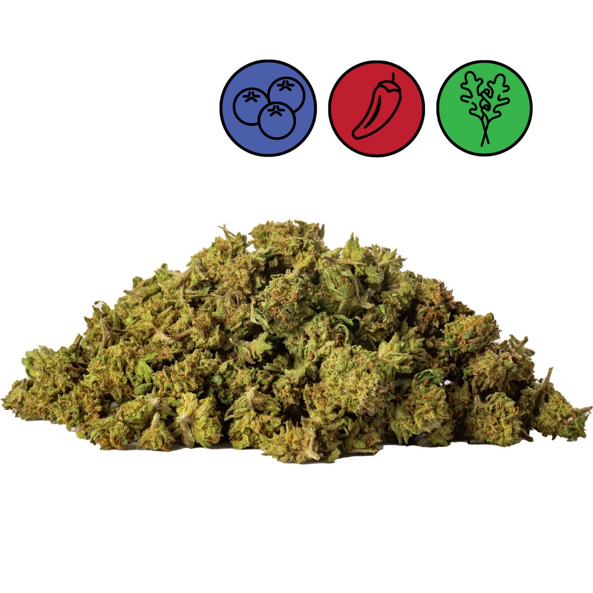 Blueberry - Outdoor - Small Buds