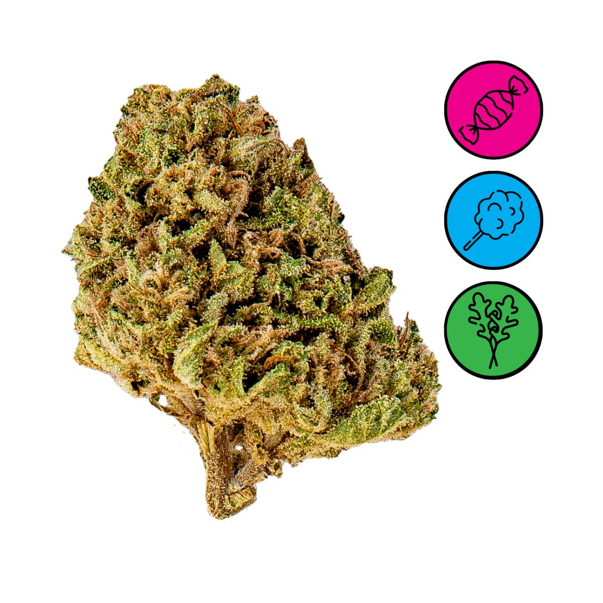 Candy Kush - Greenhouse