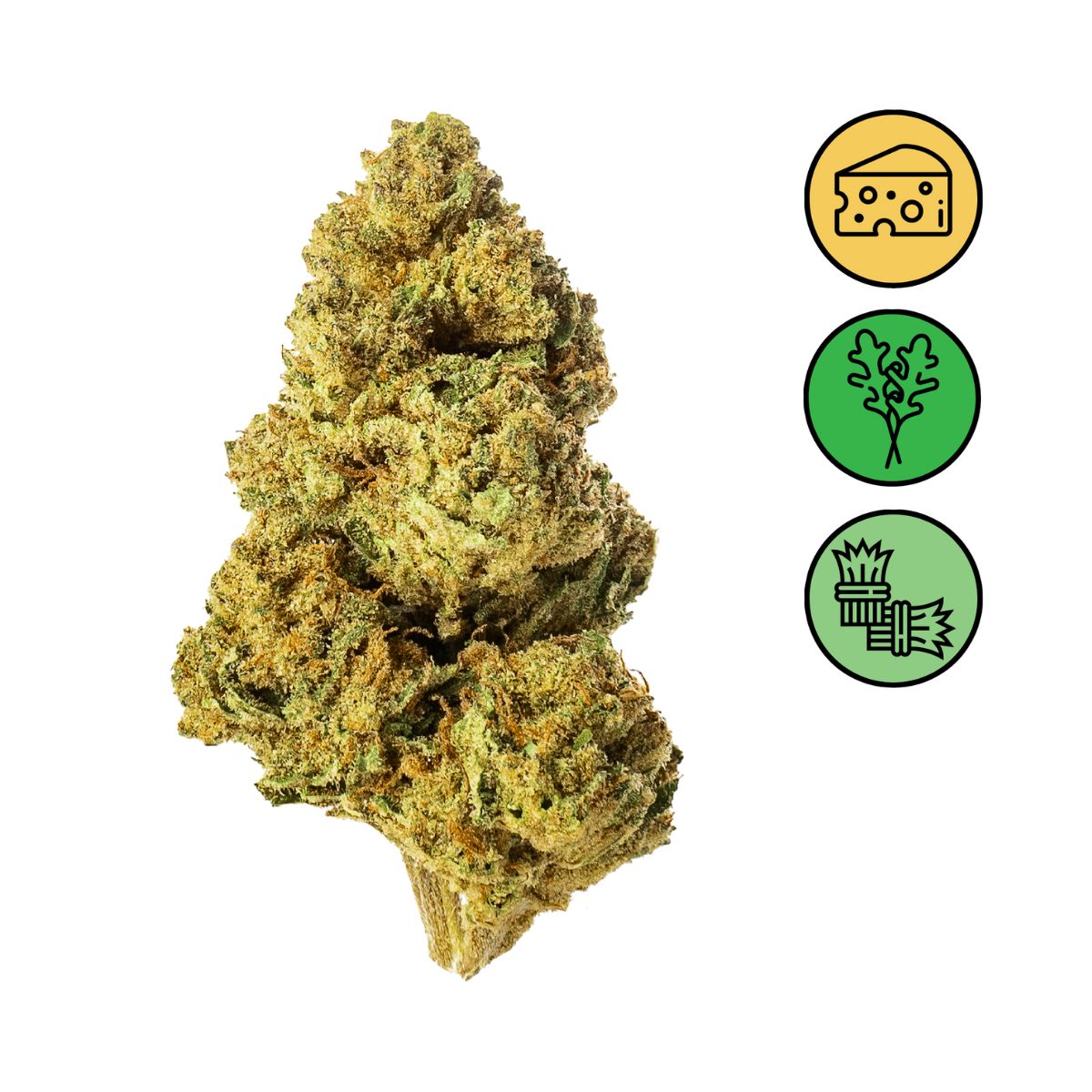 Cheese - Outdoor