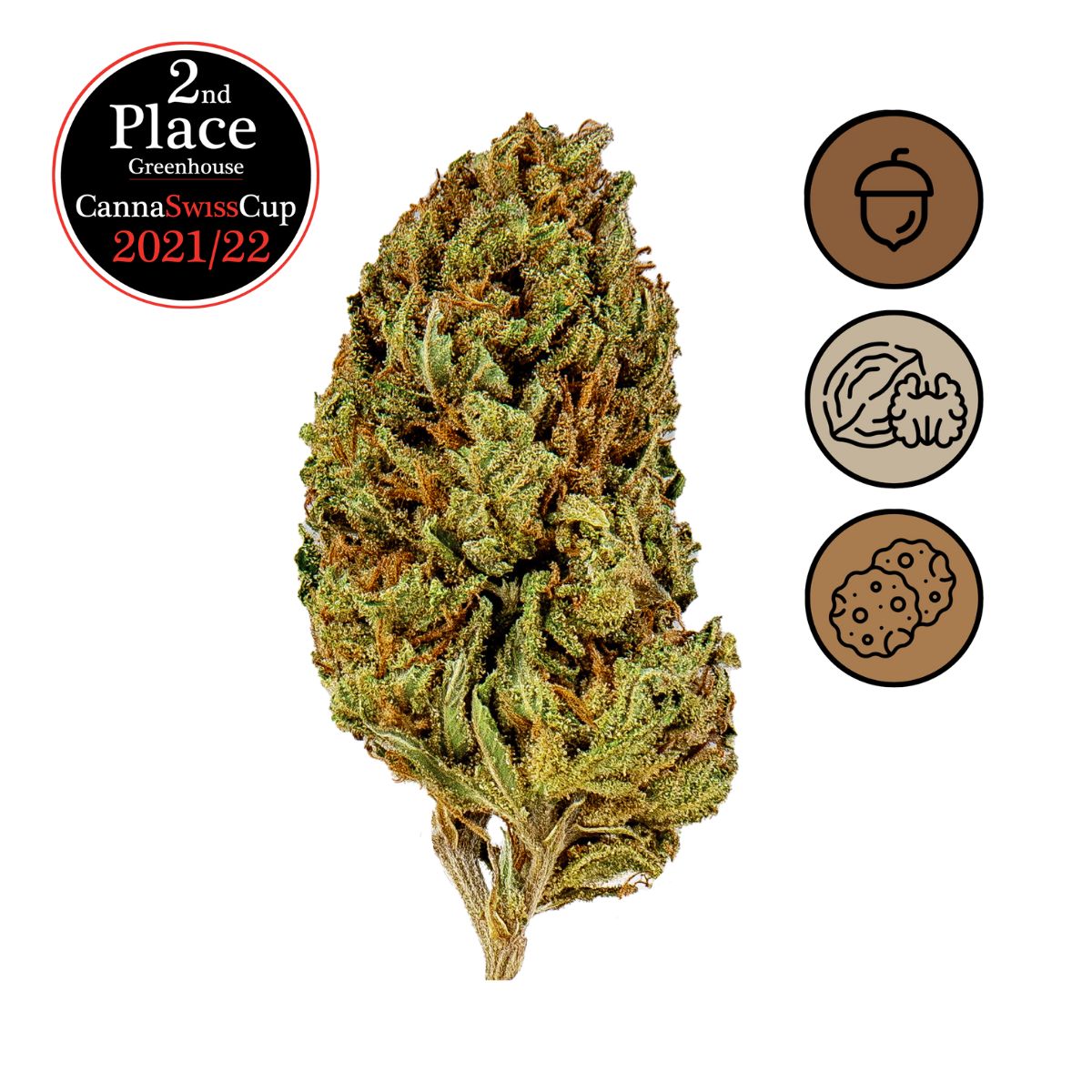 Cookies Kush - Greenhouse