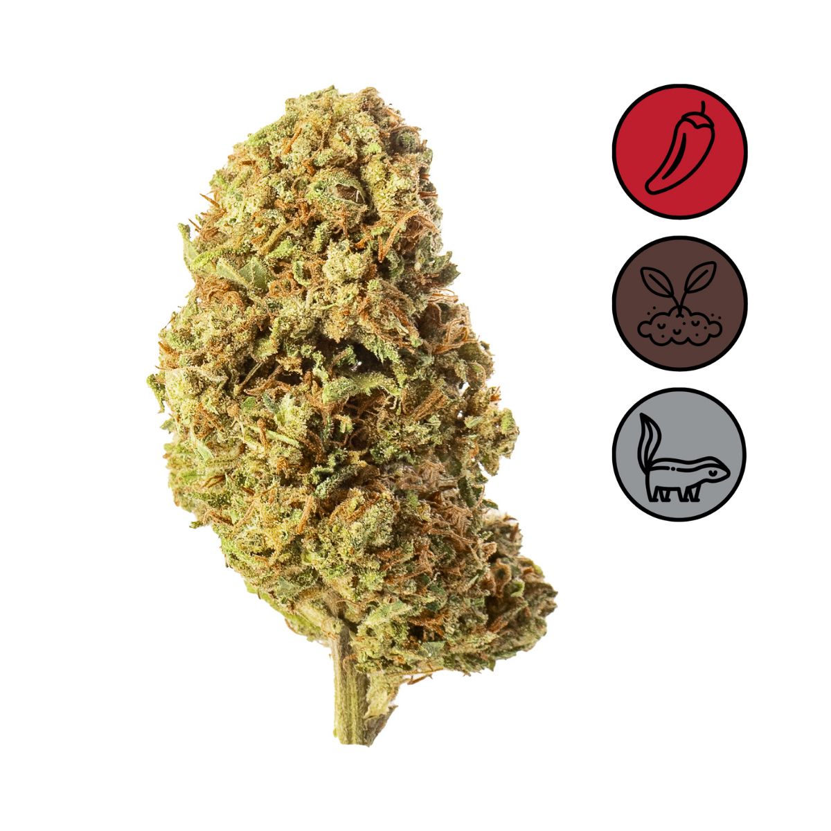 Critical Mass - Greenhouse