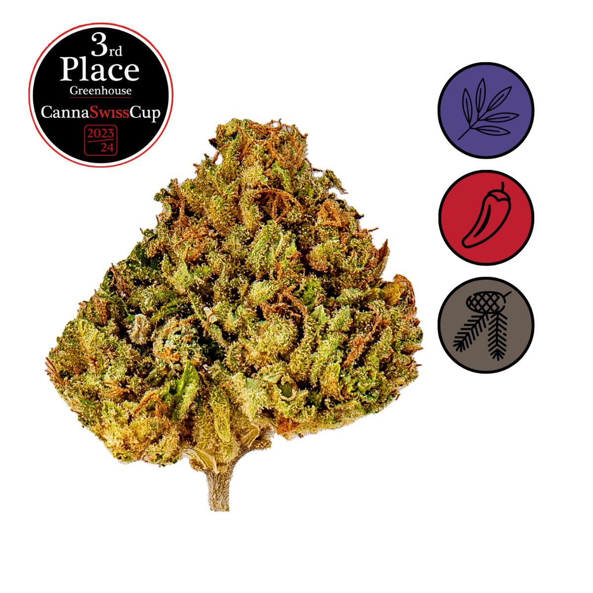 Durban Poison - Greenhouse
