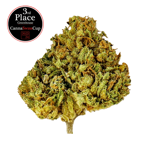 Durban Poison - Greenhouse