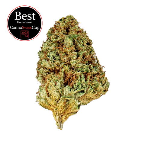 Limoncello - Greenhouse