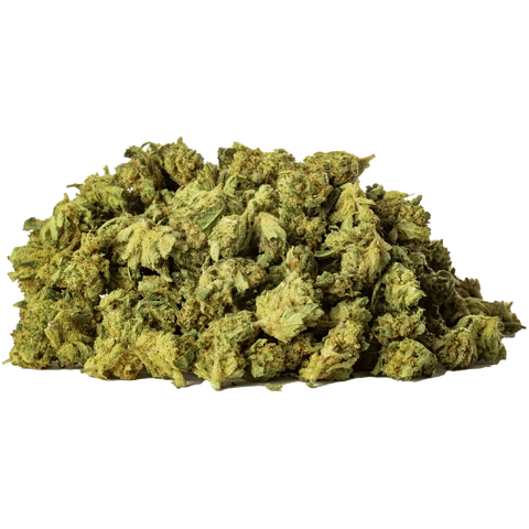 Limoncello - Greenhouse