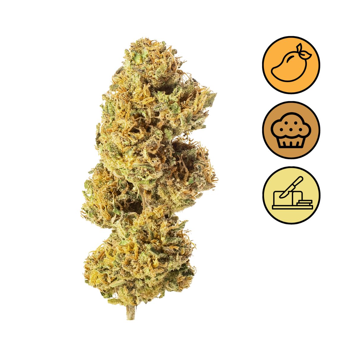 Mango Muffin - Outdoor