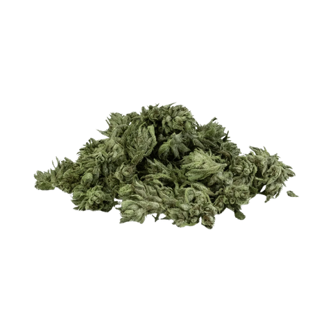 Strawberry Cream CBG - Outdoor